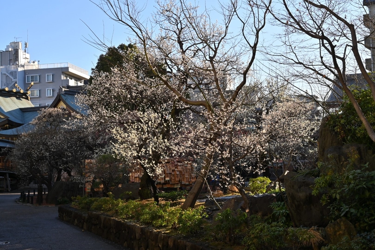 f:id:psato7:20210217054333j:plain
