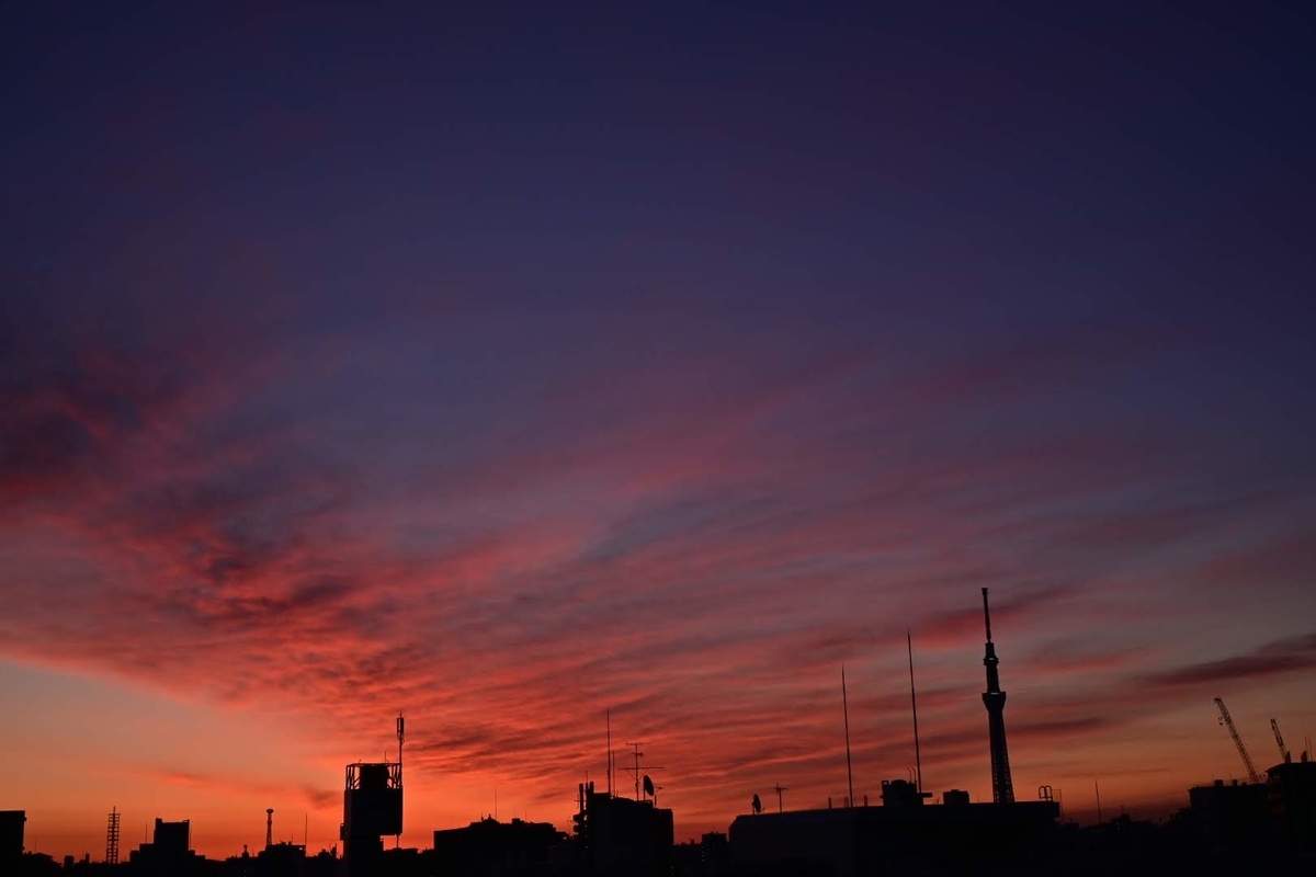 f:id:psato7:20210226054605j:plain