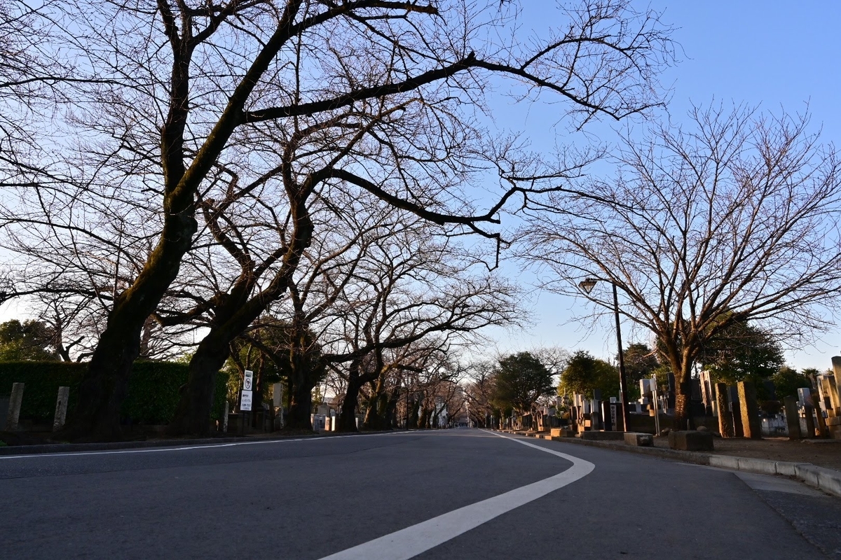 f:id:psato7:20210228202206j:plain