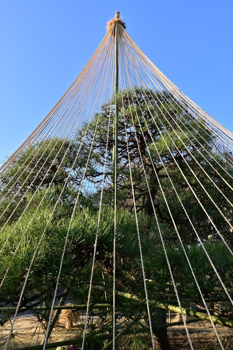 f:id:psato7:20210228203801j:plain