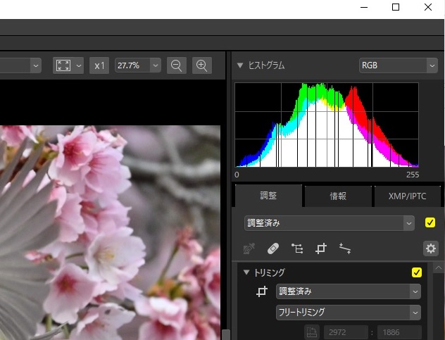 f:id:psato7:20210320161931j:plain