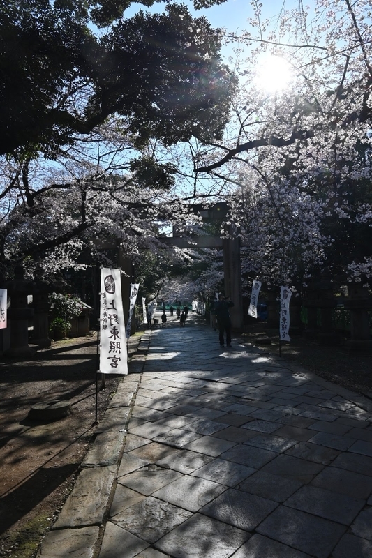 f:id:psato7:20210323211328j:plain