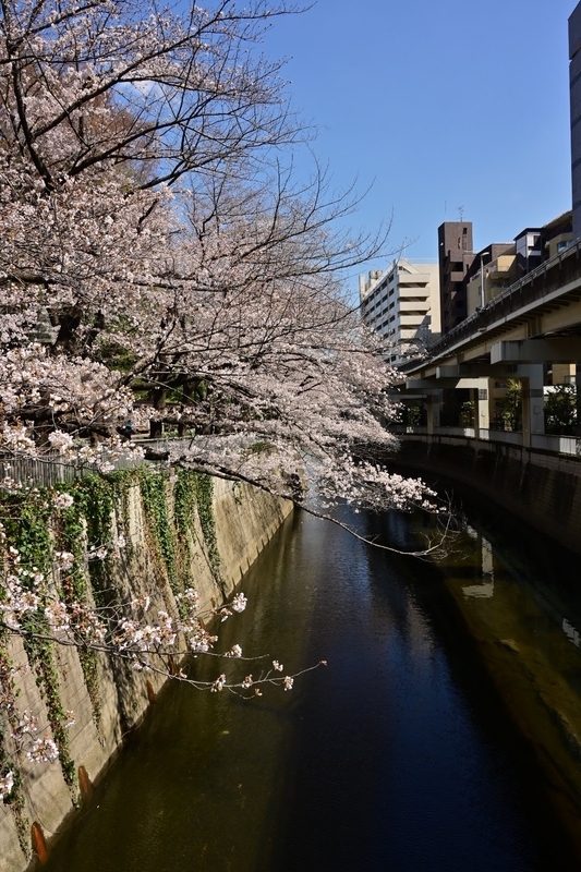 f:id:psato7:20210324052906j:plain