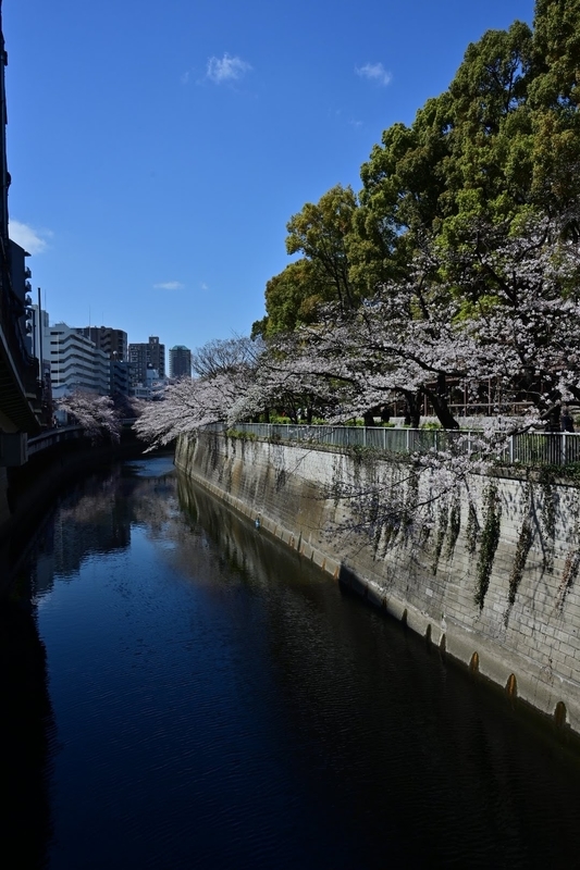f:id:psato7:20210324052925j:plain