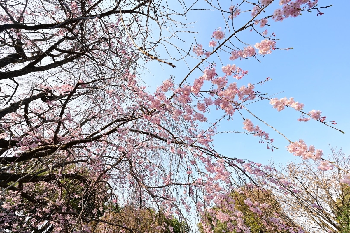 f:id:psato7:20210327090950j:plain