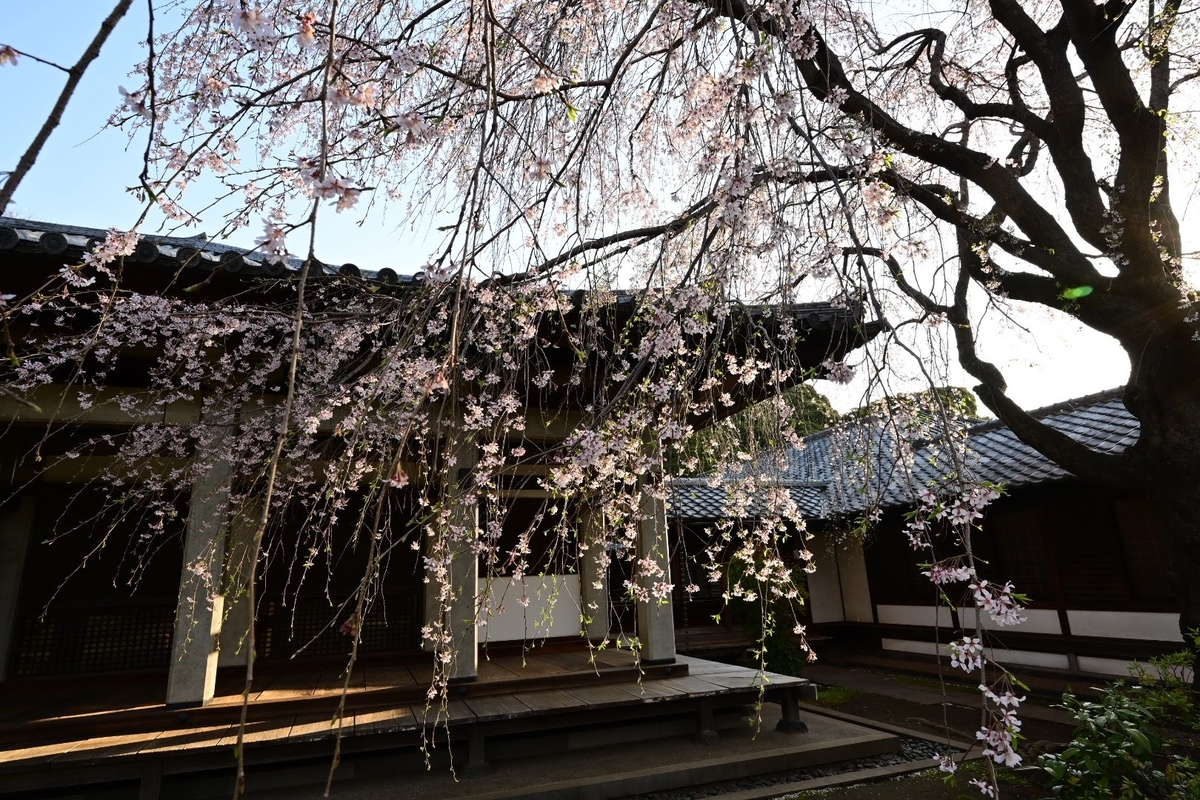 f:id:psato7:20210327091502j:plain