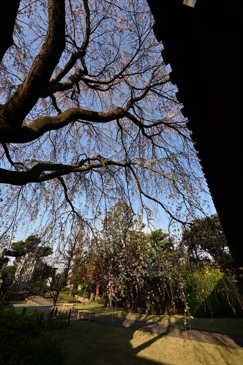 f:id:psato7:20210327091506j:plain