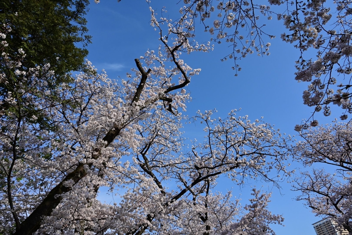 f:id:psato7:20210327091711j:plain