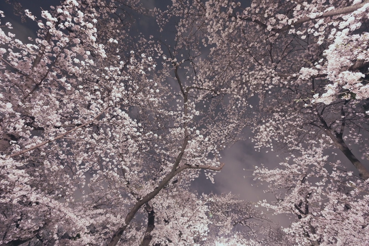 f:id:psato7:20210328064825j:plain