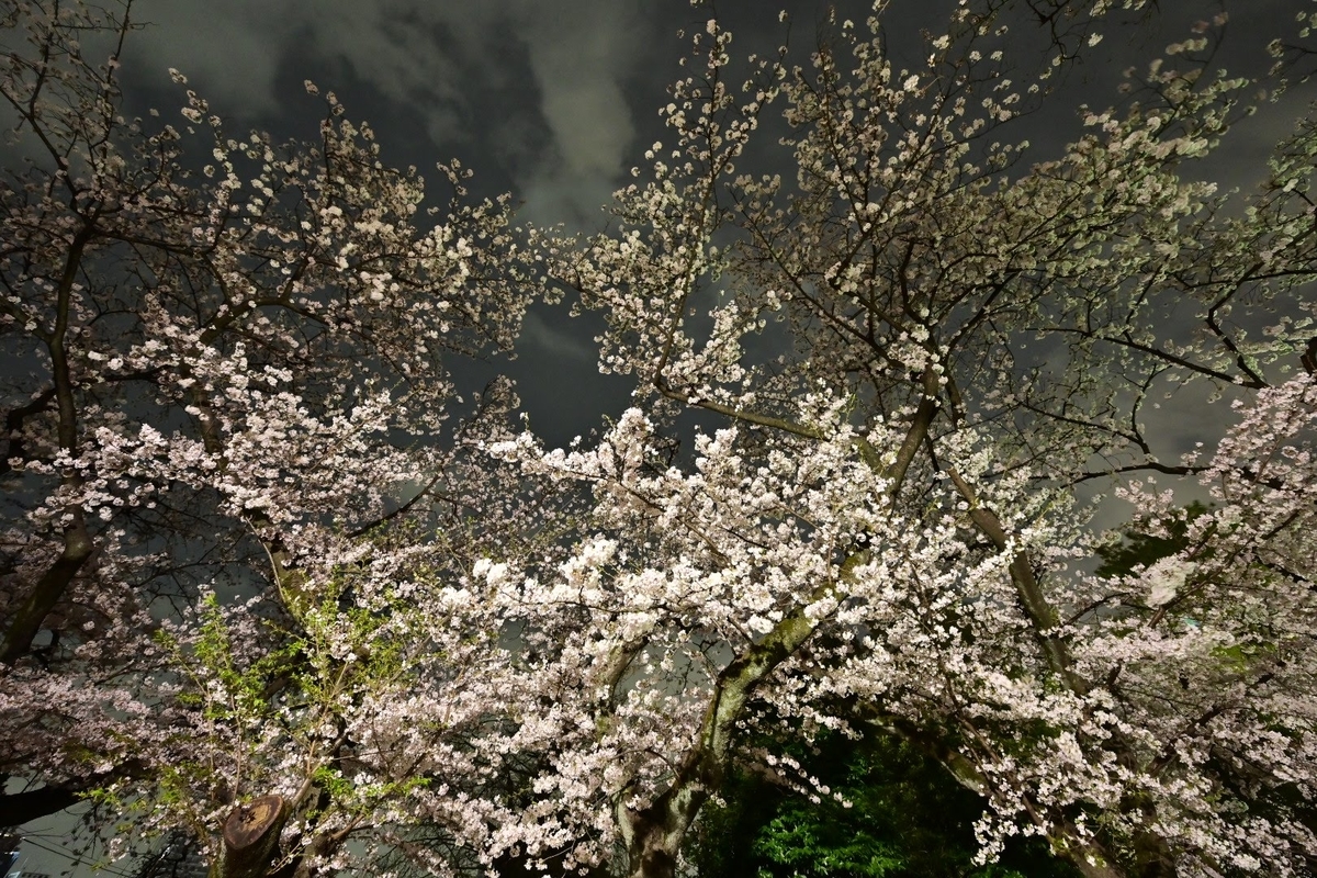 f:id:psato7:20210328065749j:plain