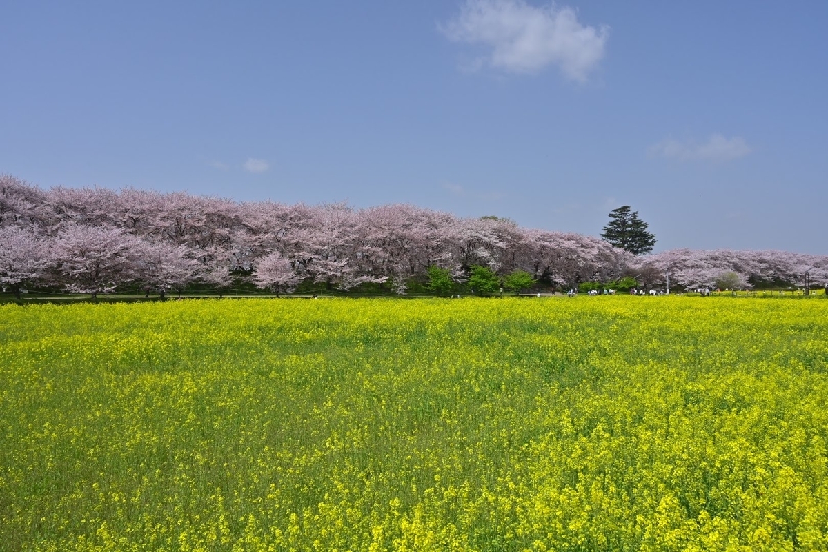 f:id:psato7:20210401203411j:plain