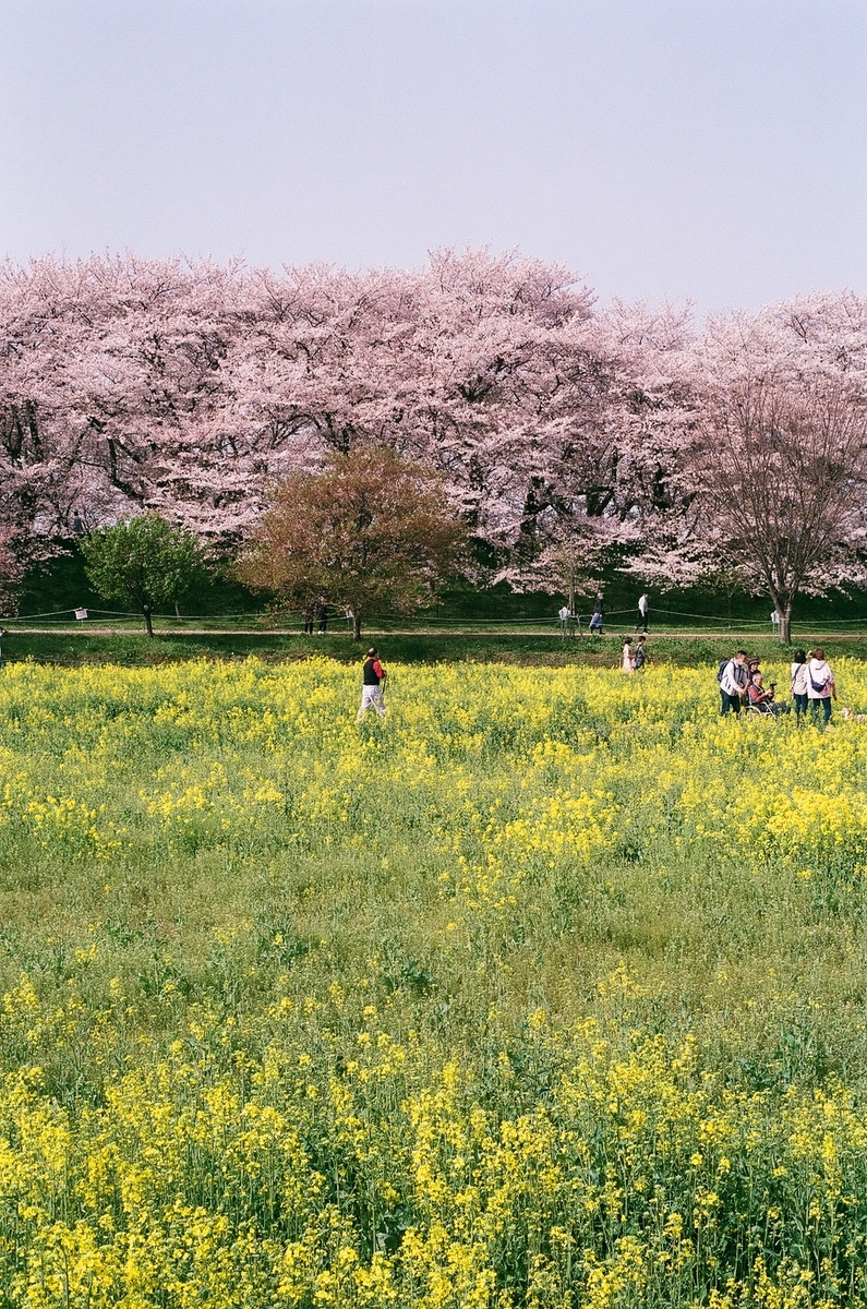 f:id:psato7:20210405073725j:plain