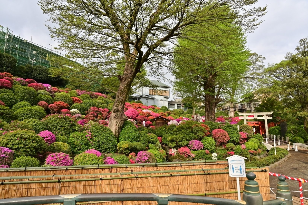 f:id:psato7:20210407053315j:plain