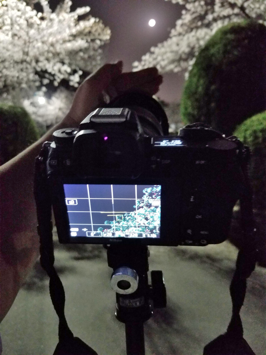 f:id:psato7:20210417072246j:plain
