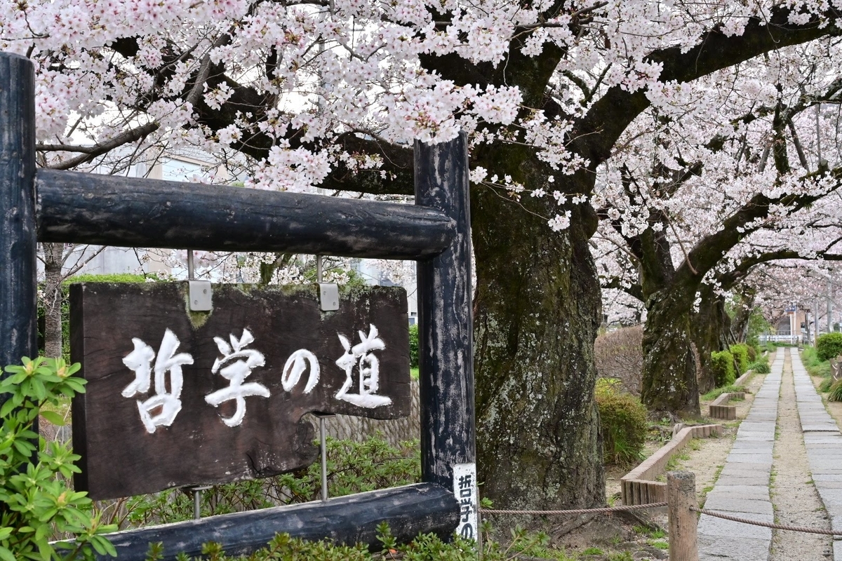哲学の道 Photo Hobby 哲学の道 Photo Hobby