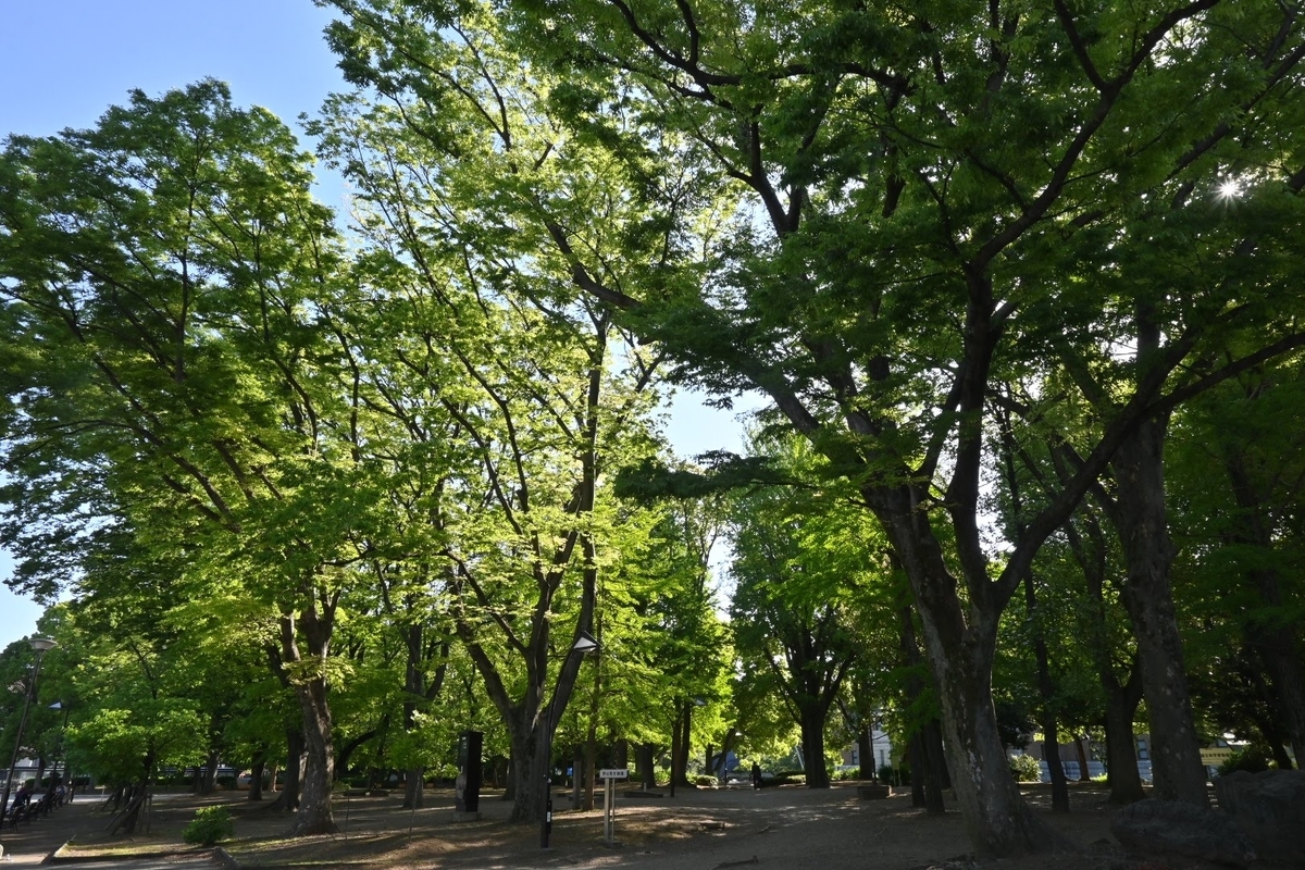 f:id:psato7:20210422212625j:plain