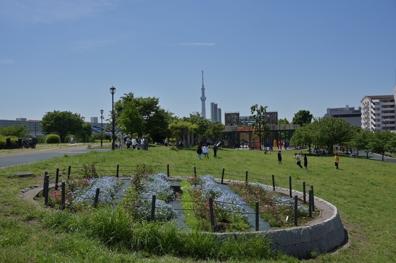 f:id:psato7:20210503175047j:plain