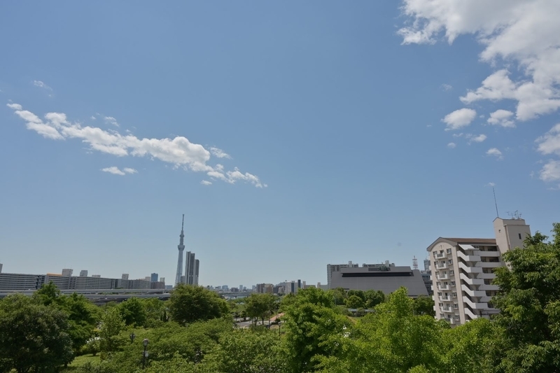 f:id:psato7:20210503175452j:plain