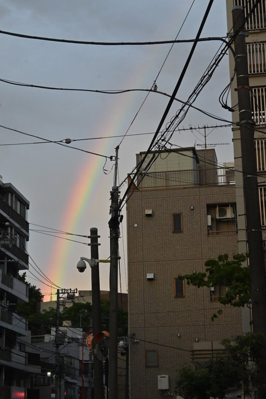 f:id:psato7:20210517200611j:plain