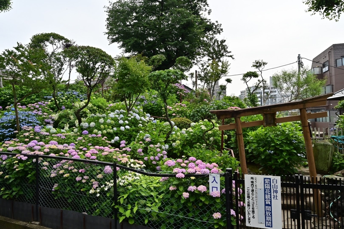 f:id:psato7:20210530040705j:plain