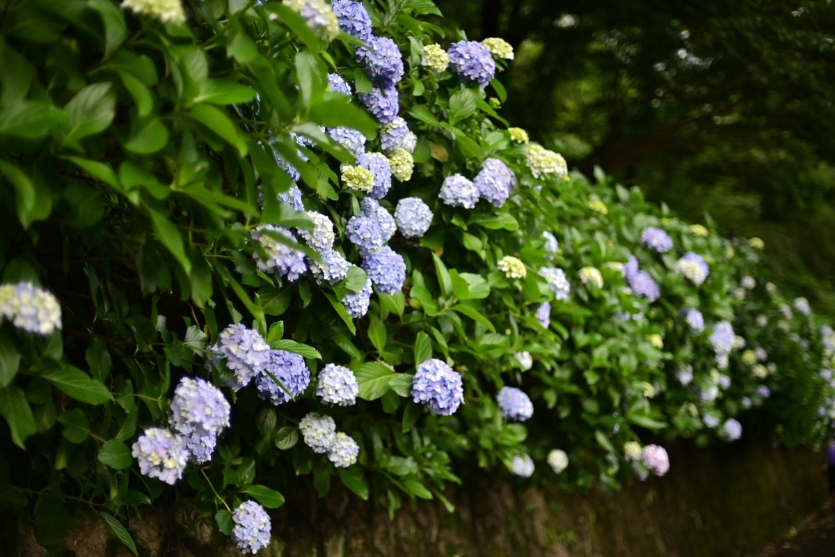 f:id:psato7:20210606072124j:plain