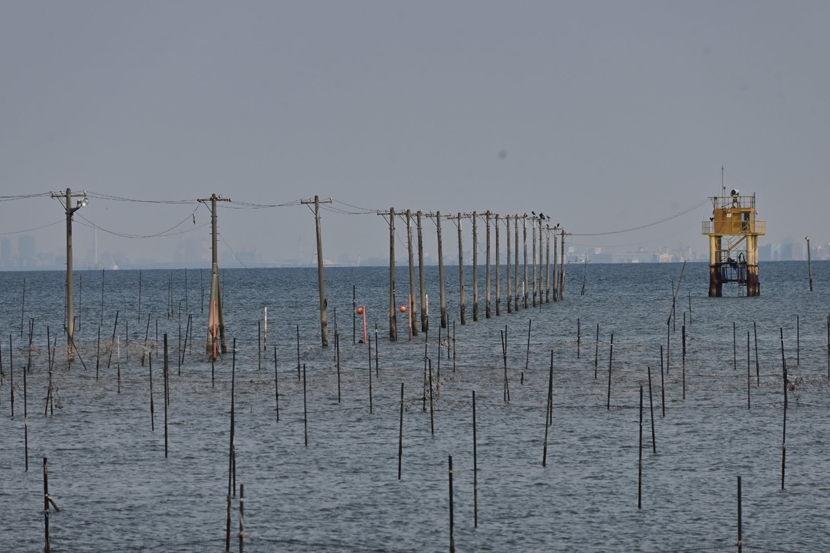 牛込海岸で潮干狩り Photo Hobby