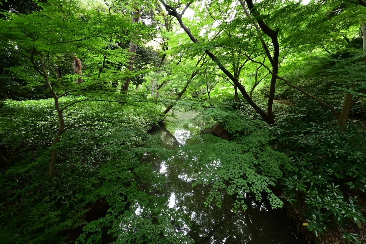 f:id:psato7:20210616211454j:plain