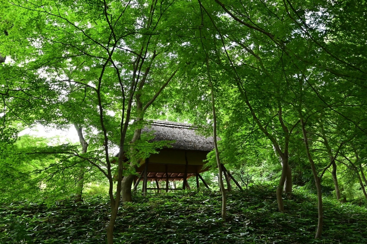 f:id:psato7:20210617054534j:plain