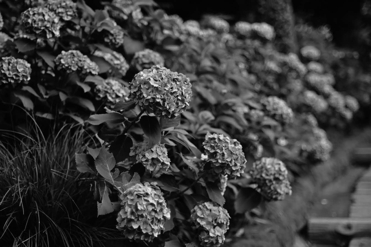 f:id:psato7:20210619081733j:plain