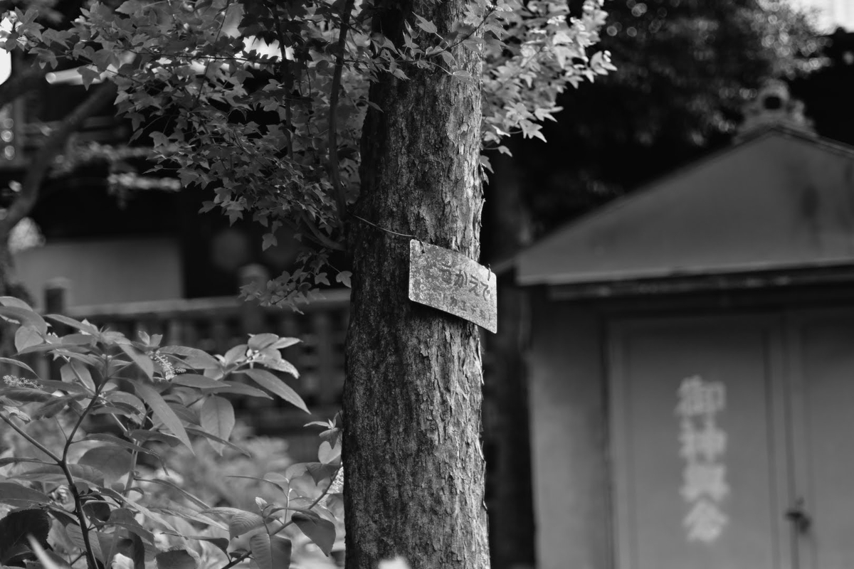 f:id:psato7:20210619083923j:plain