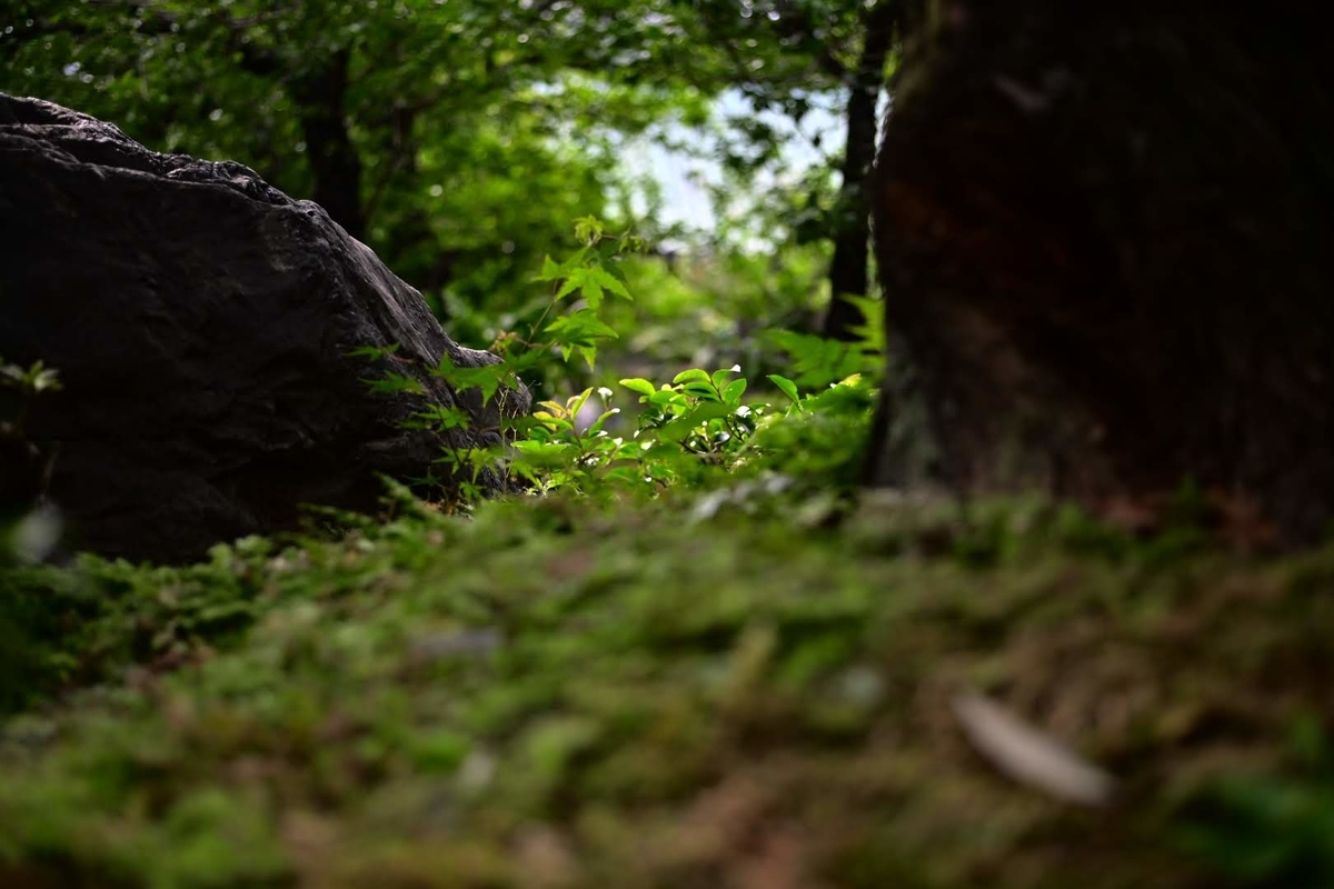 f:id:psato7:20210625052613j:plain