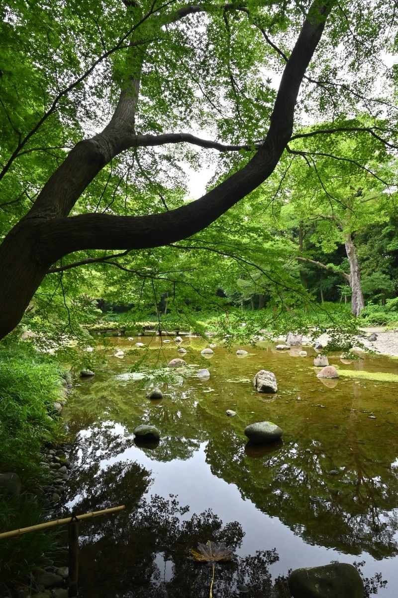 f:id:psato7:20210627212016j:plain