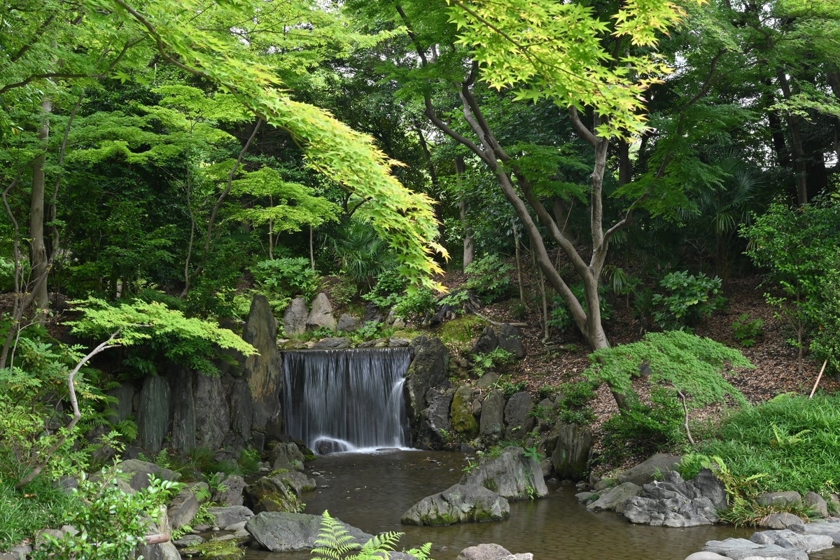 f:id:psato7:20210627212052j:plain