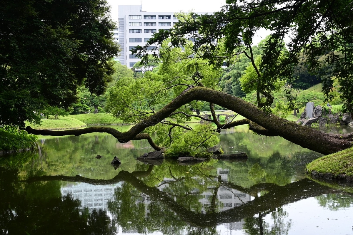 f:id:psato7:20210627212134j:plain