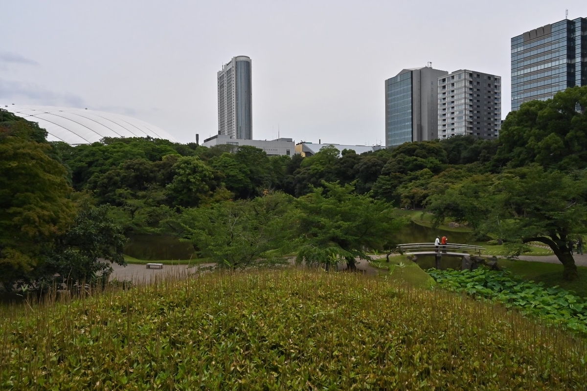 f:id:psato7:20210628051142j:plain