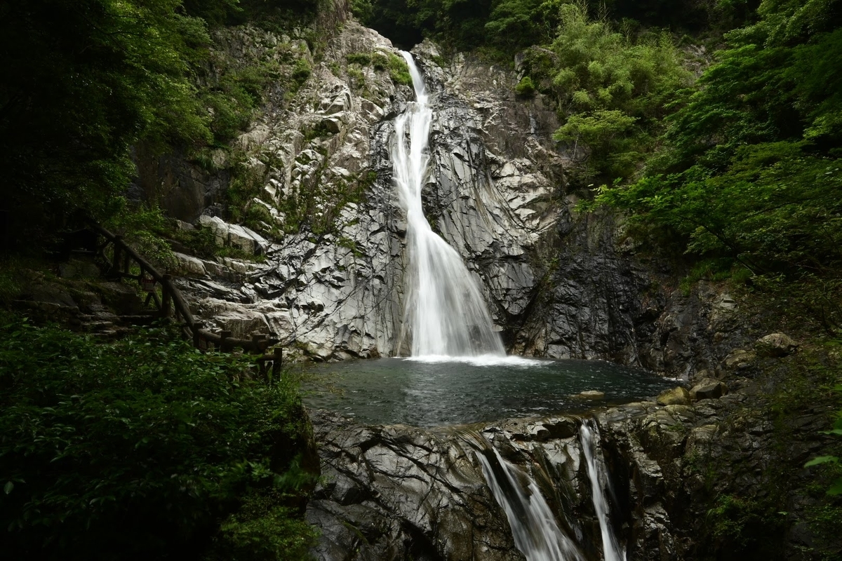 f:id:psato7:20210706210224j:plain