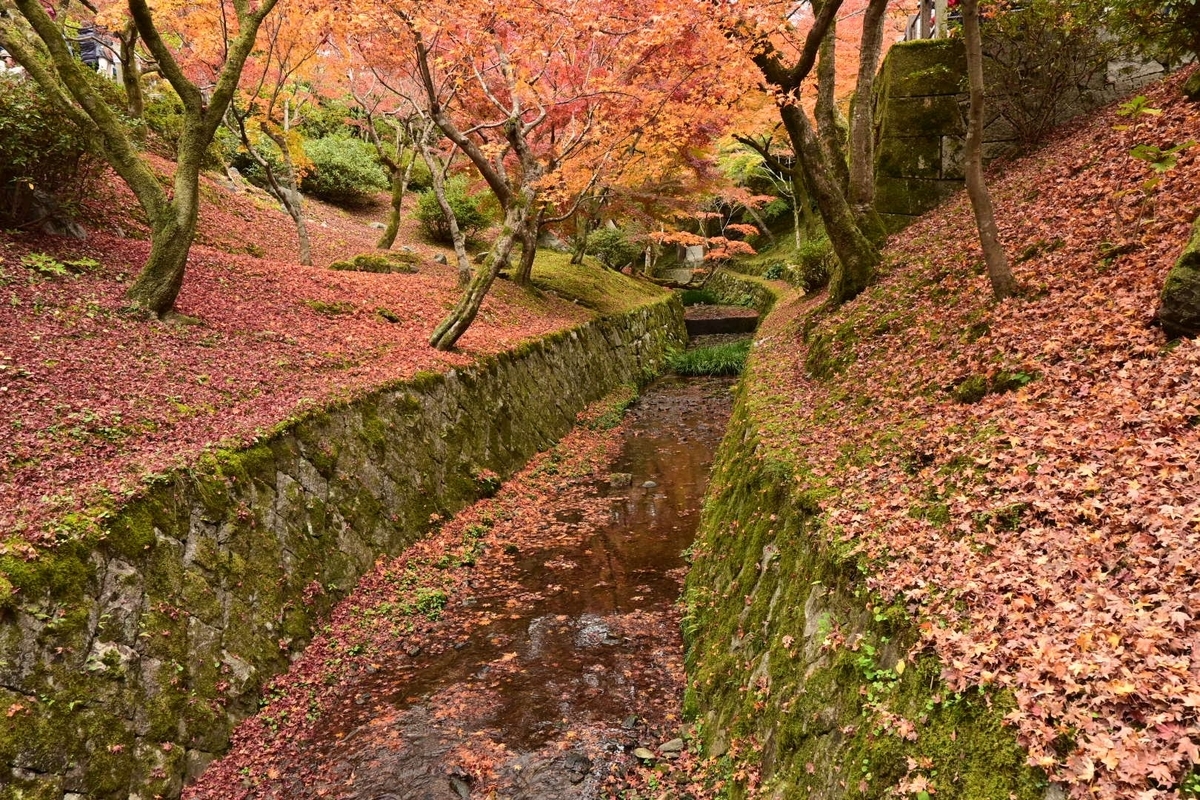 f:id:psato7:20210707212155j:plain