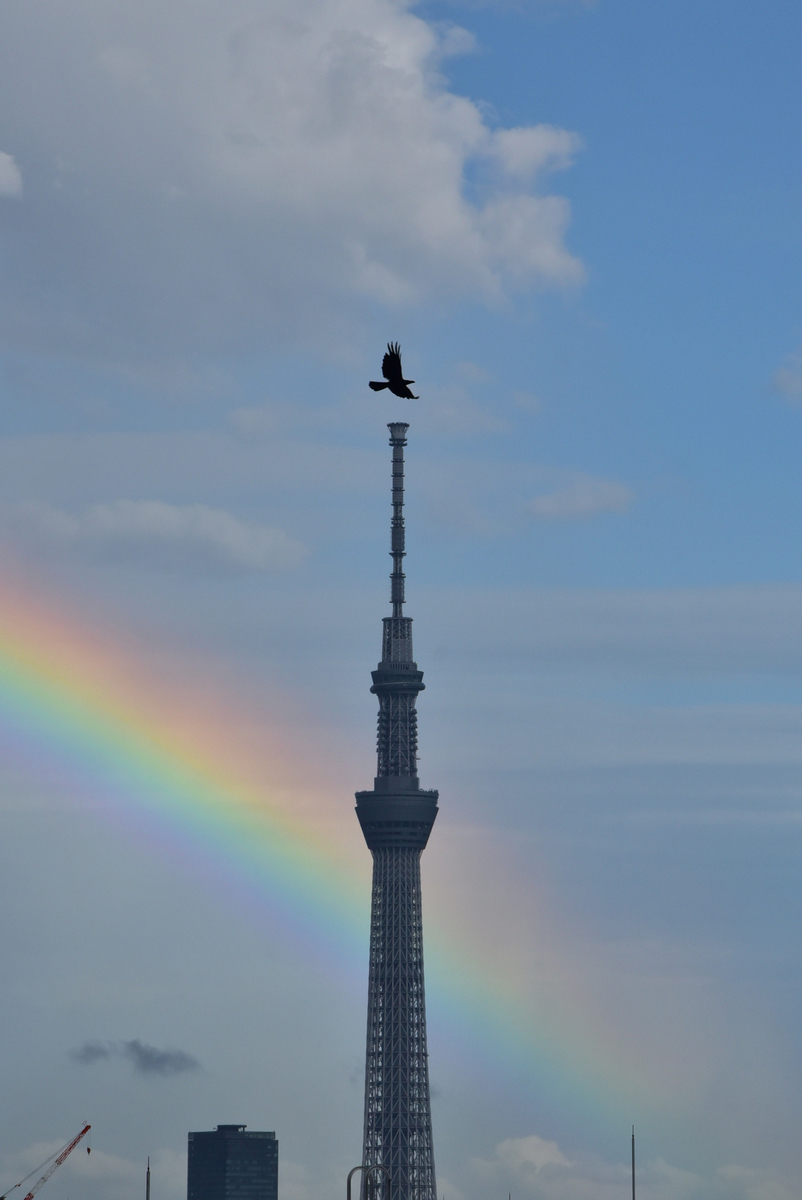 f:id:psato7:20210715051537j:plain