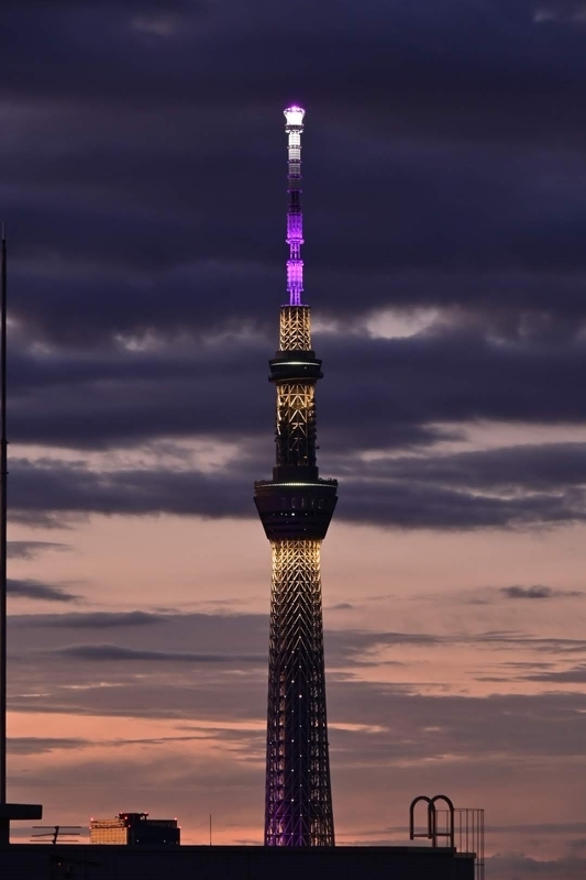 f:id:psato7:20210811053319j:plain