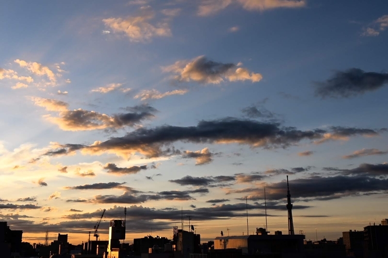 f:id:psato7:20210811054023j:plain