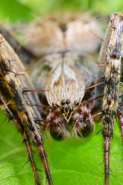 f:id:psato7:20210822122335j:image