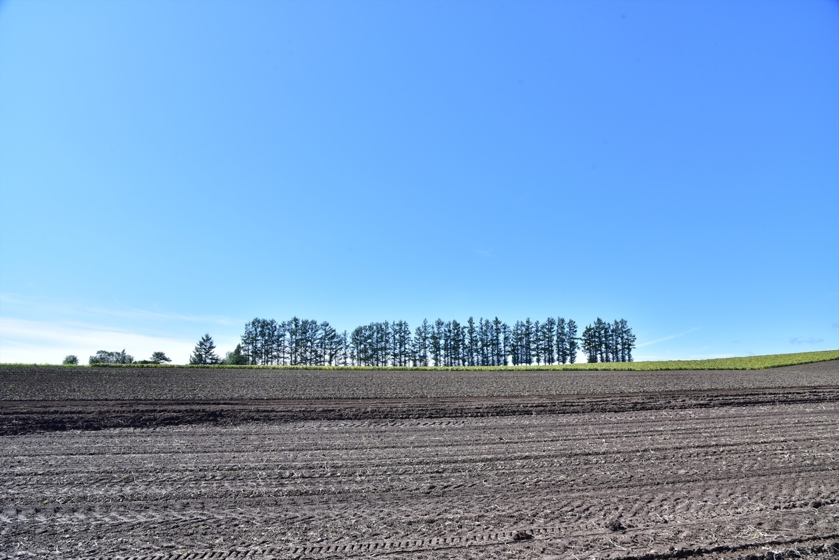 f:id:psato7:20210825073717j:plain