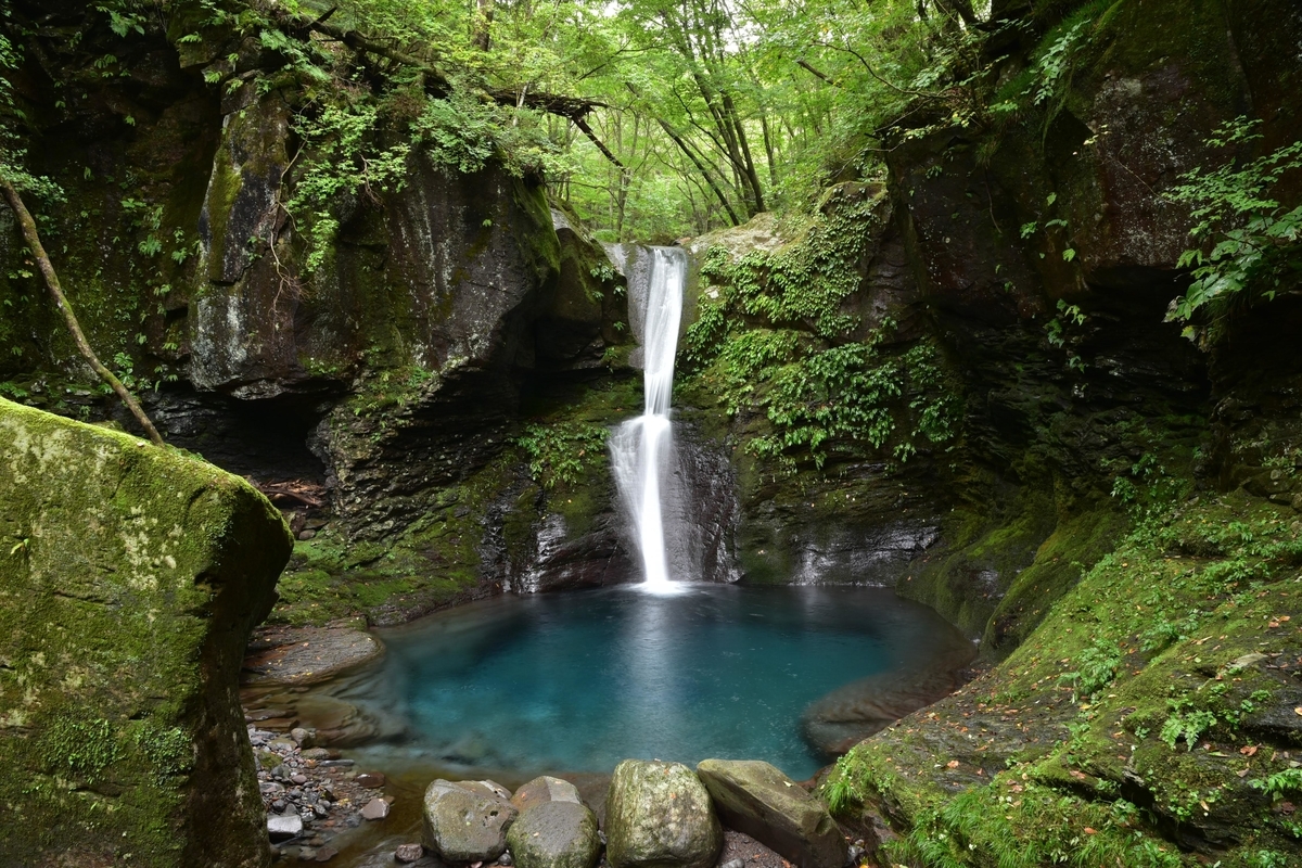 f:id:psato7:20210904132241j:plain