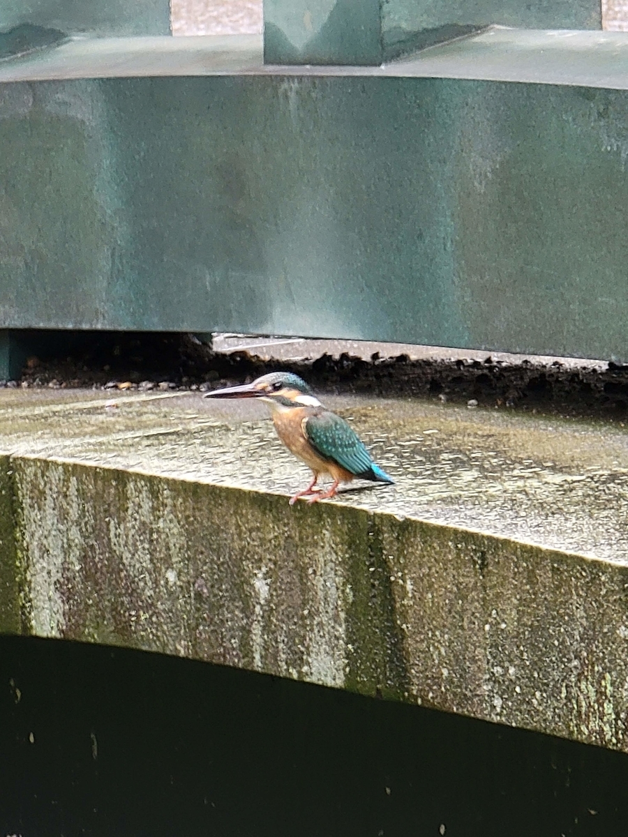 f:id:psato7:20210904170327j:plain