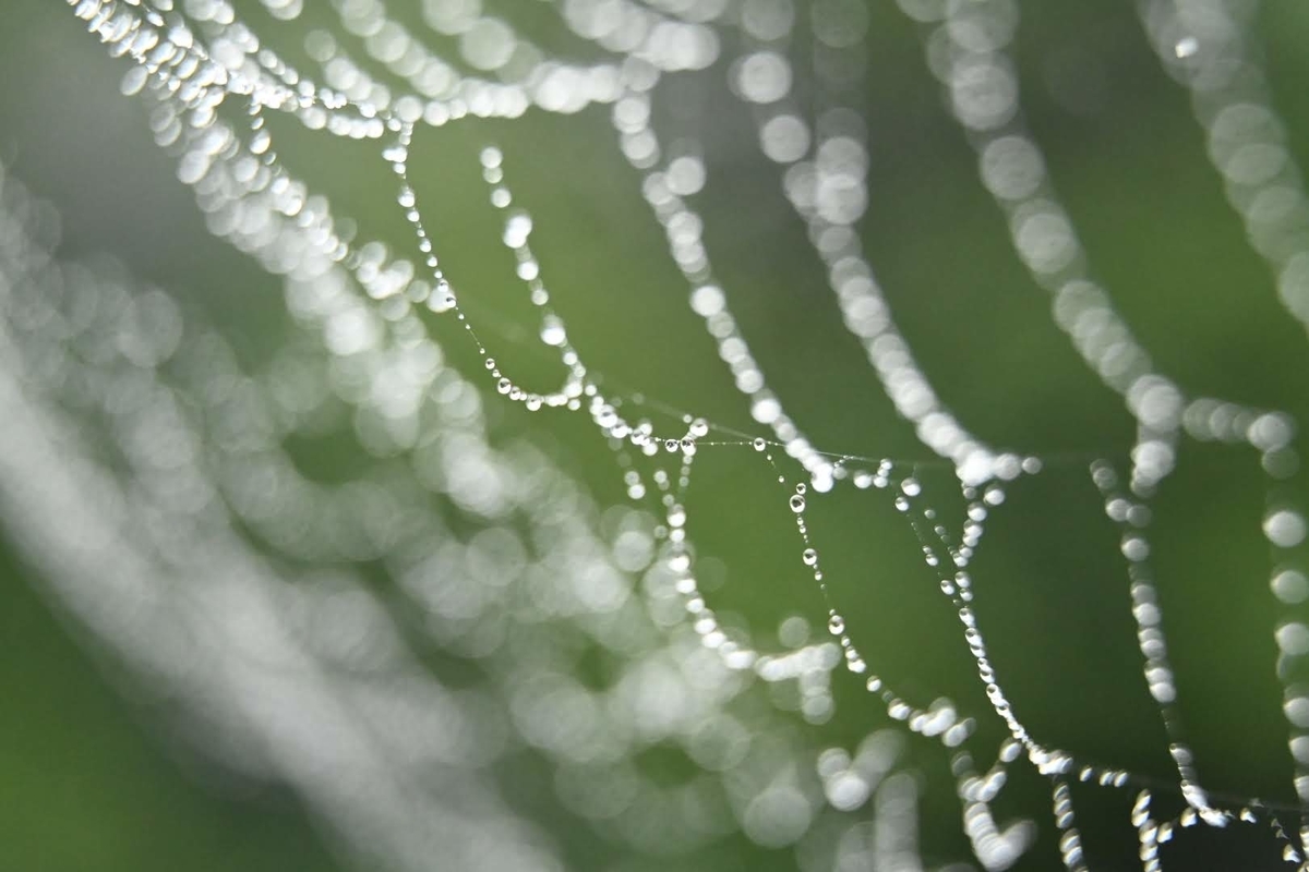 f:id:psato7:20210904170910j:plain