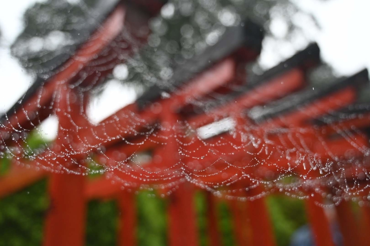 f:id:psato7:20210904170912j:plain