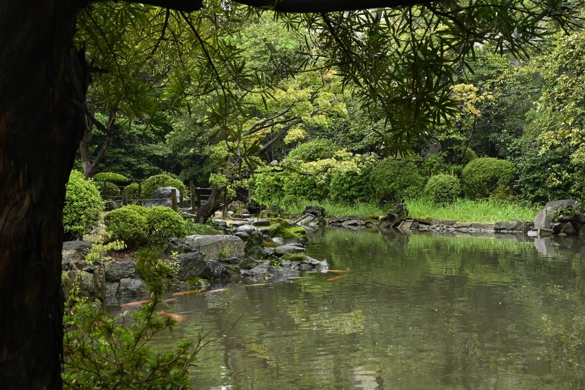 f:id:psato7:20210904171037j:plain