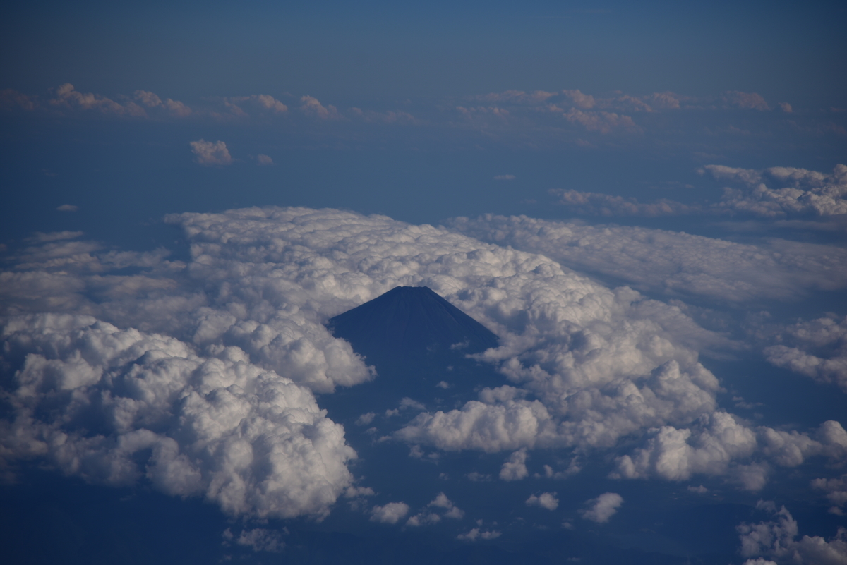 f:id:psato7:20210907200355j:plain
