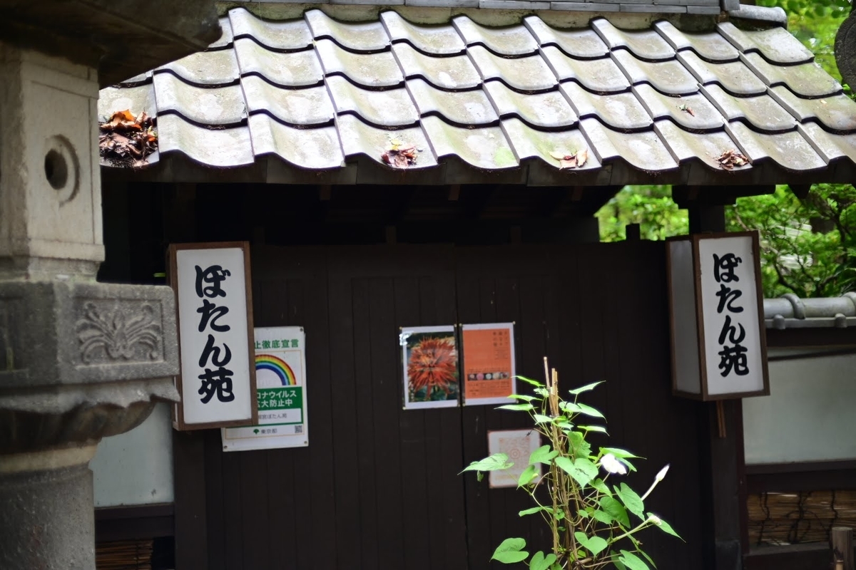 f:id:psato7:20210917045738j:plain
