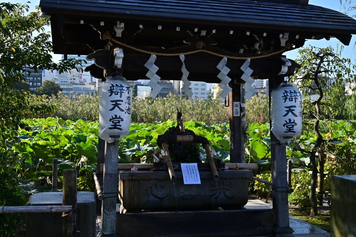 f:id:psato7:20211001040447j:plain